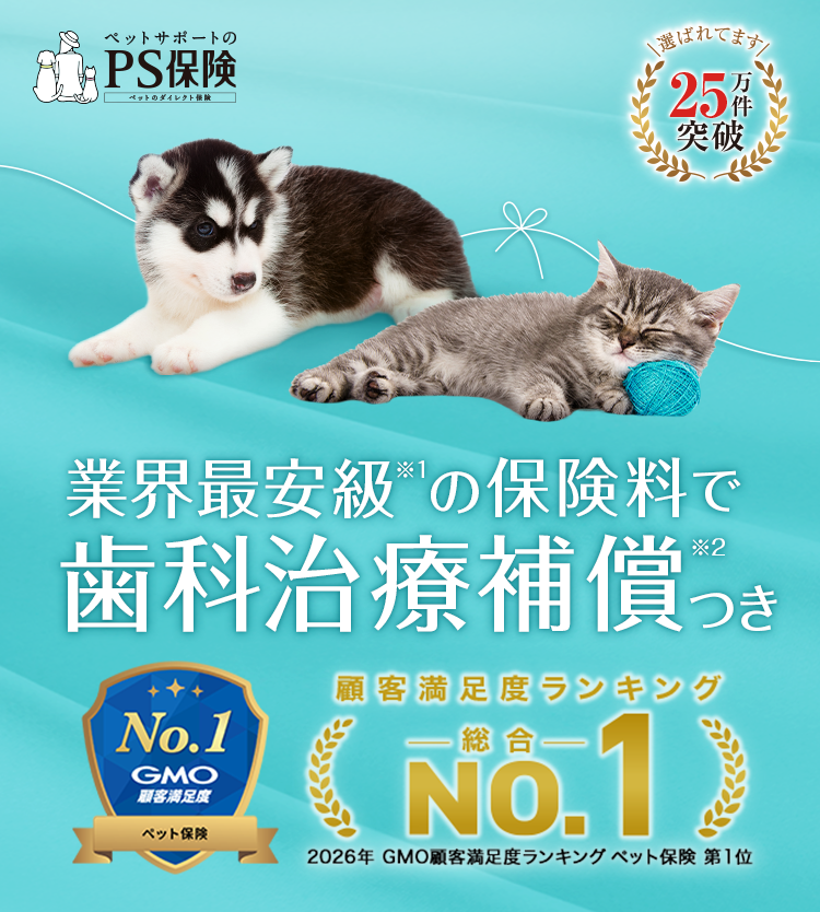 ペットサポートのPS保険。業界最安級の保険料で歯科治療補償つき