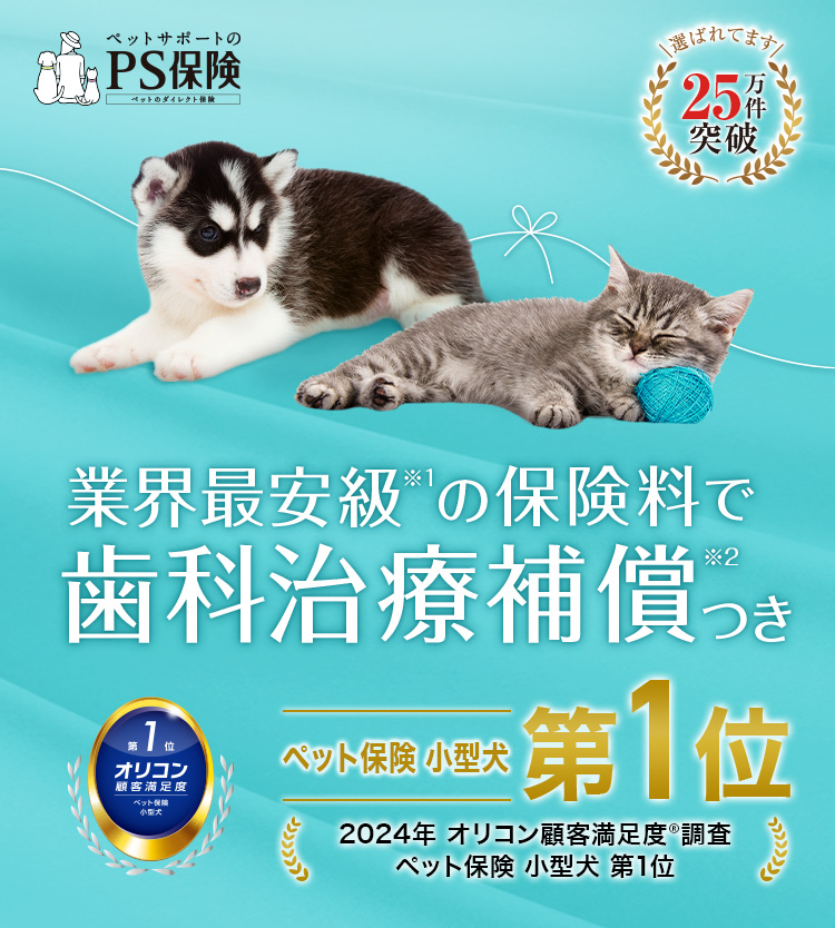 ペットサポートのPS保険。業界最安級の保険料で歯科治療補償つき
